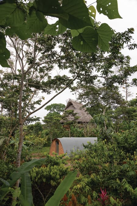 Witoca Lab